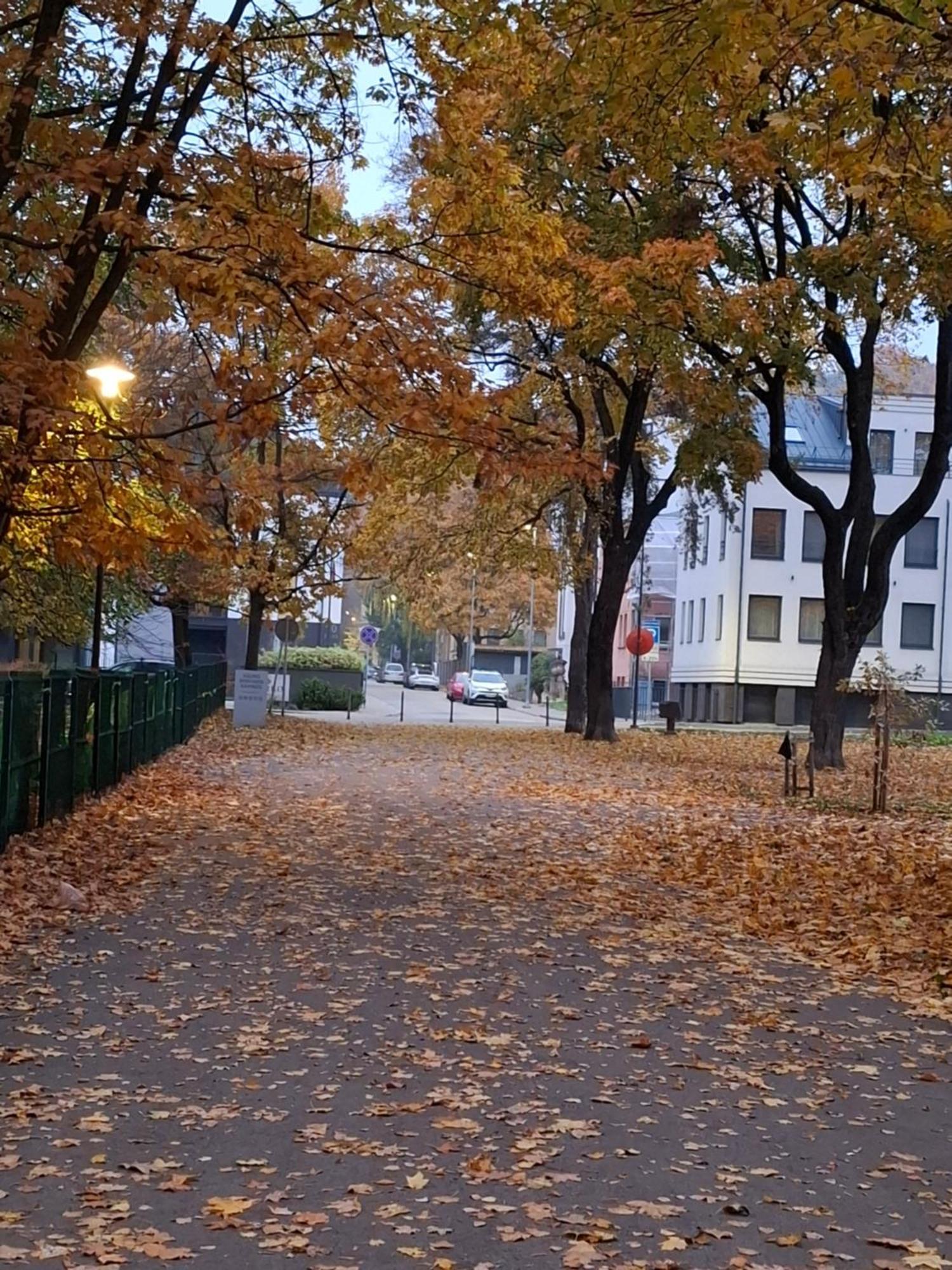 Maple Park Apartment Kaunas Exterior foto